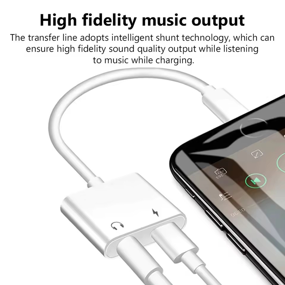 2 in 1 iOS to 3.5mm Jack Audio - огляд і ціна Wired Earphone Lightning